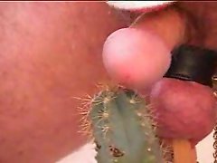 Cumming on a cactus