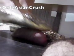Singaporean flats cock crush no cum